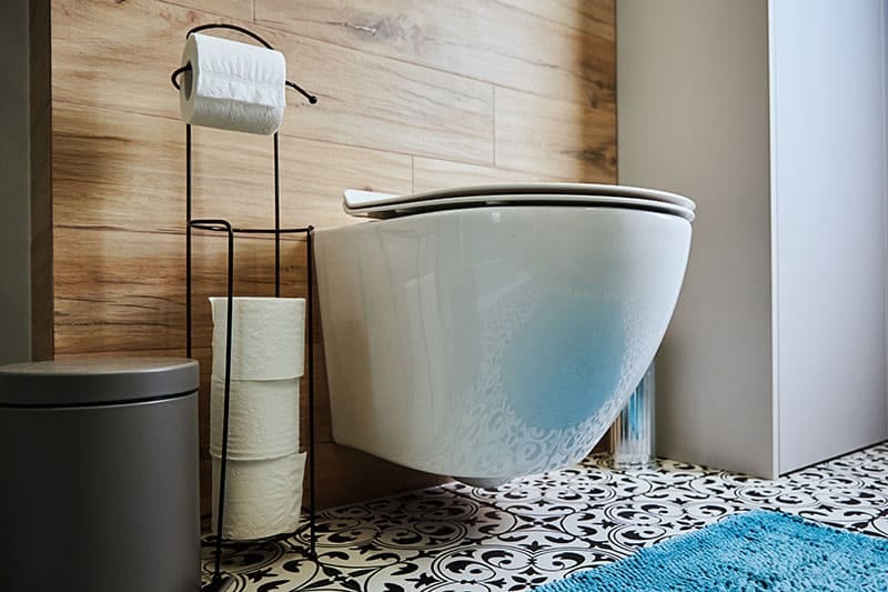 Toilet Cleaning: Expert Tips and Essential Products